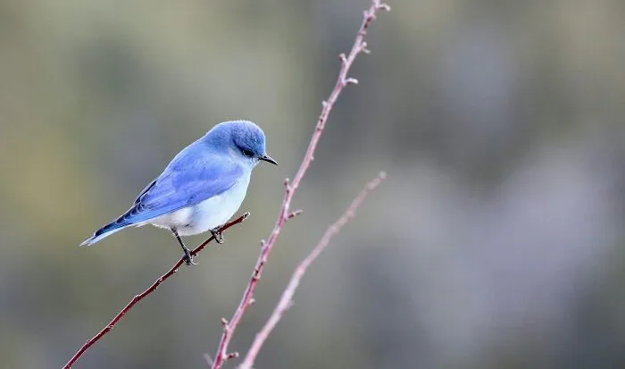 35 Scientific Facts That Are Hard To Believe Are Actually Real