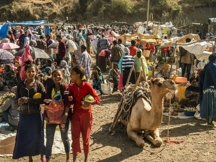 29 Strange But True Facts About Countries That Nobody Really Believes The First Time