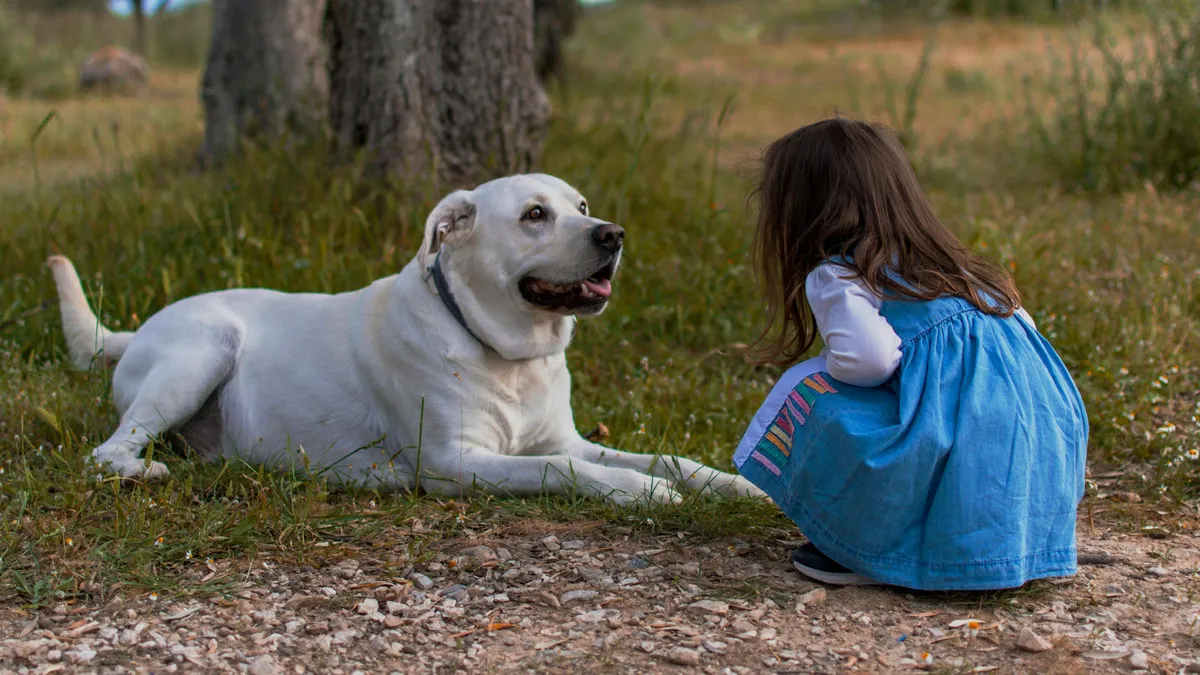 “It’s Dangerous”: Man Cuts Contact With Sister Until She Puts Her Dog Down
