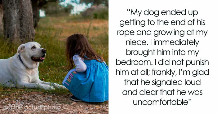“It’s Dangerous”: Man Cuts Contact With Sister Until She Puts Her Dog Down