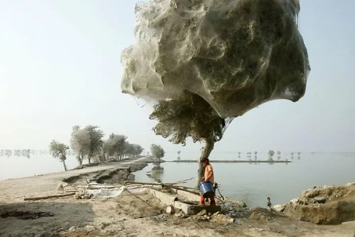37 Creepy Photos That Seem Completely Normal Until You Notice One Detail