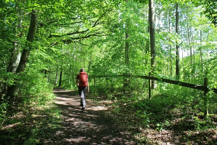 Why Can People Walk Many Miles Without Discomfort, But When They Stand For More Than 15 Minutes Or So, They Get Uncomfortable?