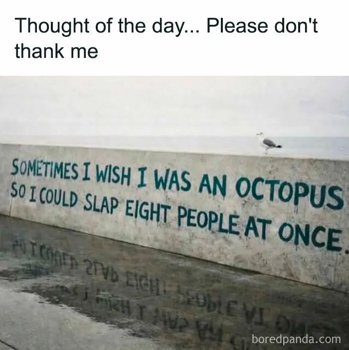 103 Memes That You May Love If You’re Looking For Something Randomly Funny (New Pics)