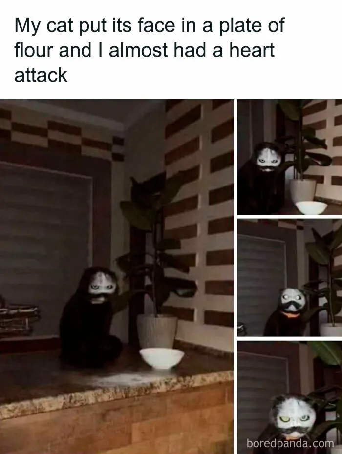 103 Memes That You May Love If You’re Looking For Something Randomly Funny (New Pics)