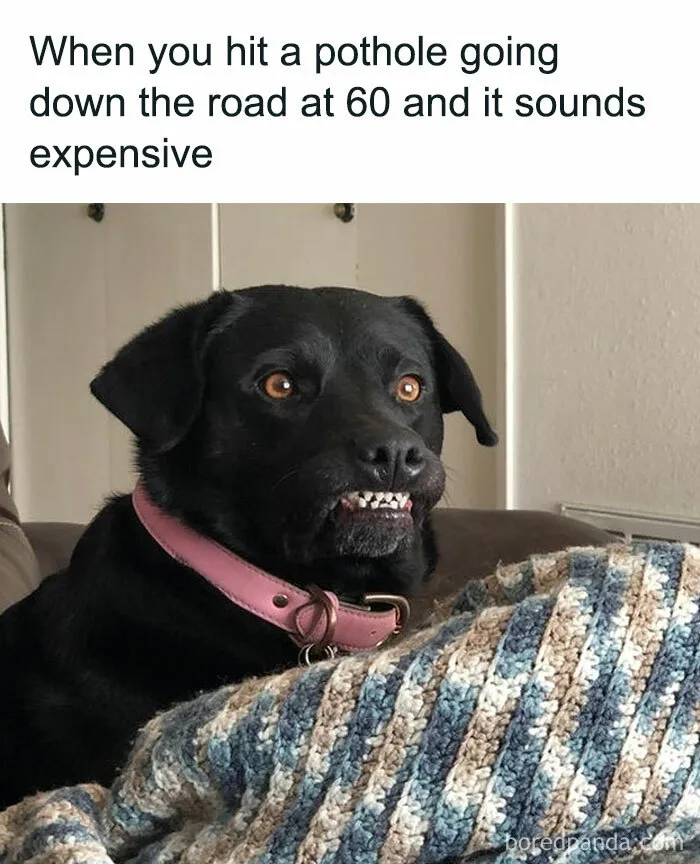68 Memes So Funny That It Made Folks Wish They Were The Ones Who Shared Them