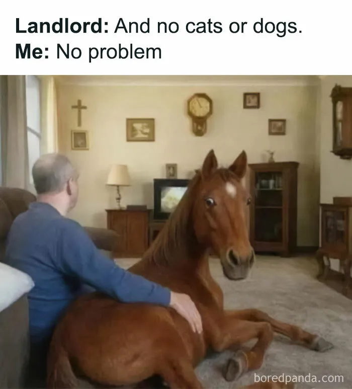 51 Funny Dark Memes That You Might Want To Immediately Send To Your Friends