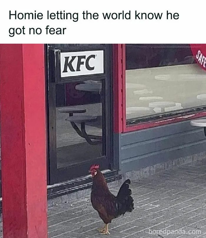 58 Food Memes That Are Absolutely Well Done