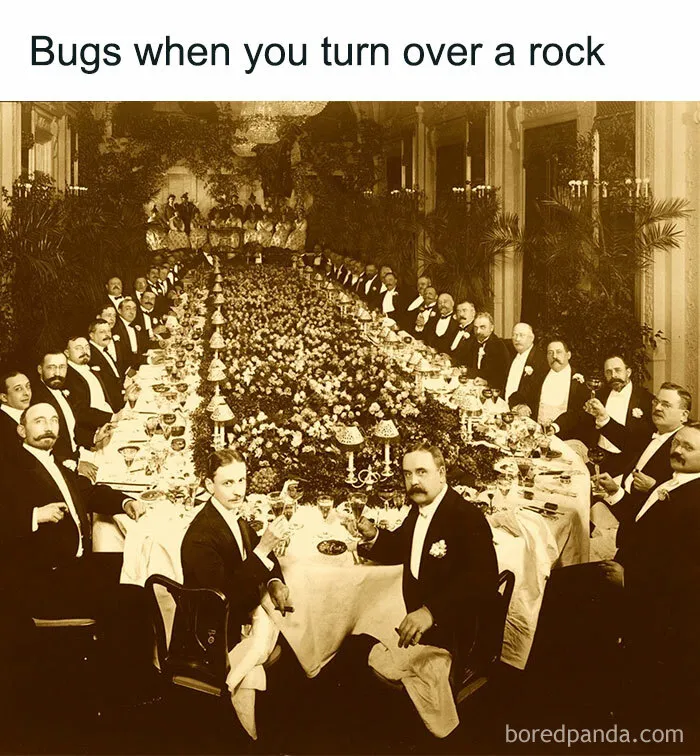 89 Random Images That Make Absolutely No Sense And Are Weird As Hell