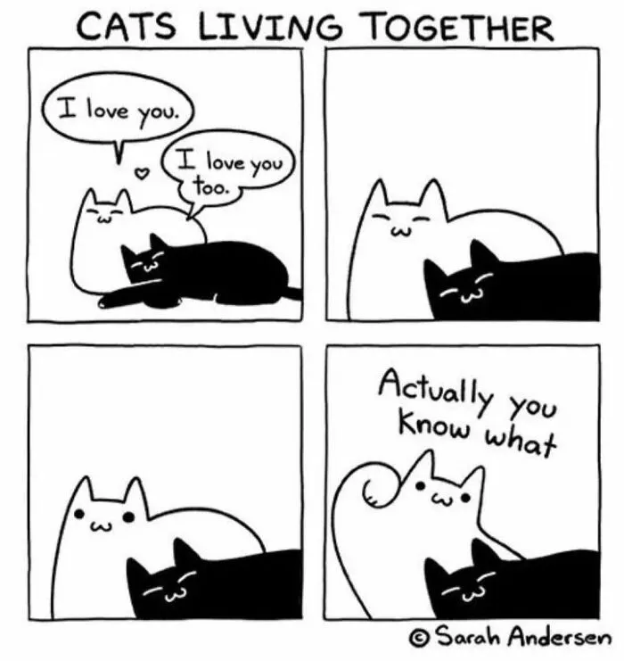 79 Hissterical Memes You’d Like To Tag Your Cat In (New Pics)
