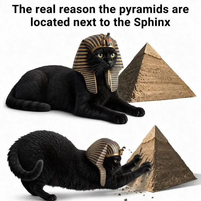 79 Hissterical Memes You’d Like To Tag Your Cat In (New Pics)