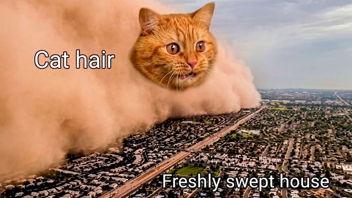 79 Hissterical Memes You’d Like To Tag Your Cat In (New Pics)