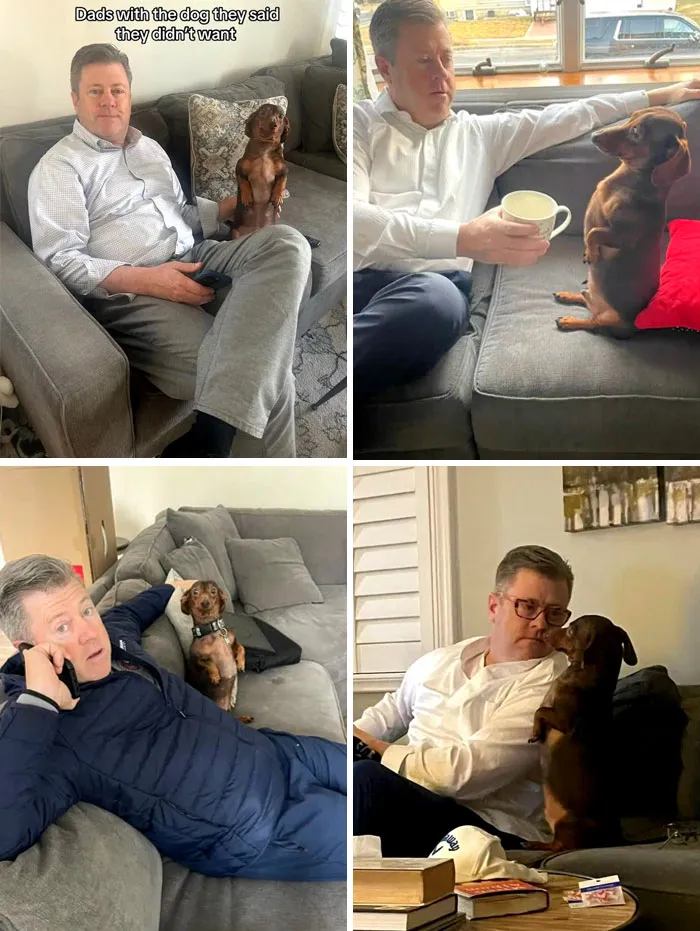Dad With The Dog He Said He Didn't Want