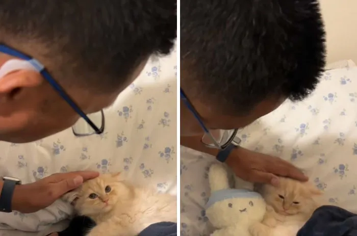 My Dad Loves Kissing His Little Head