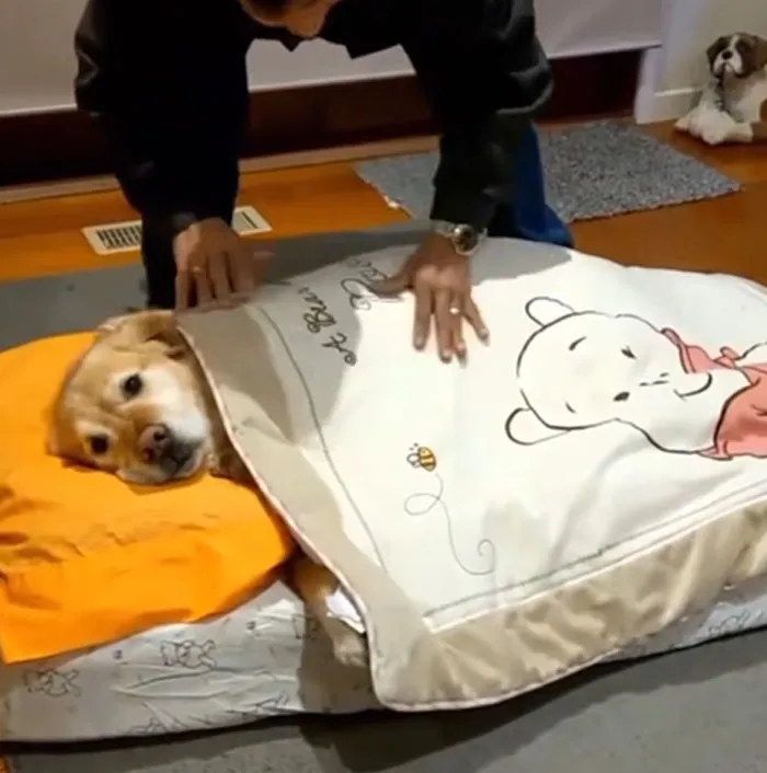 My Dad And The Dog He Never Wanted