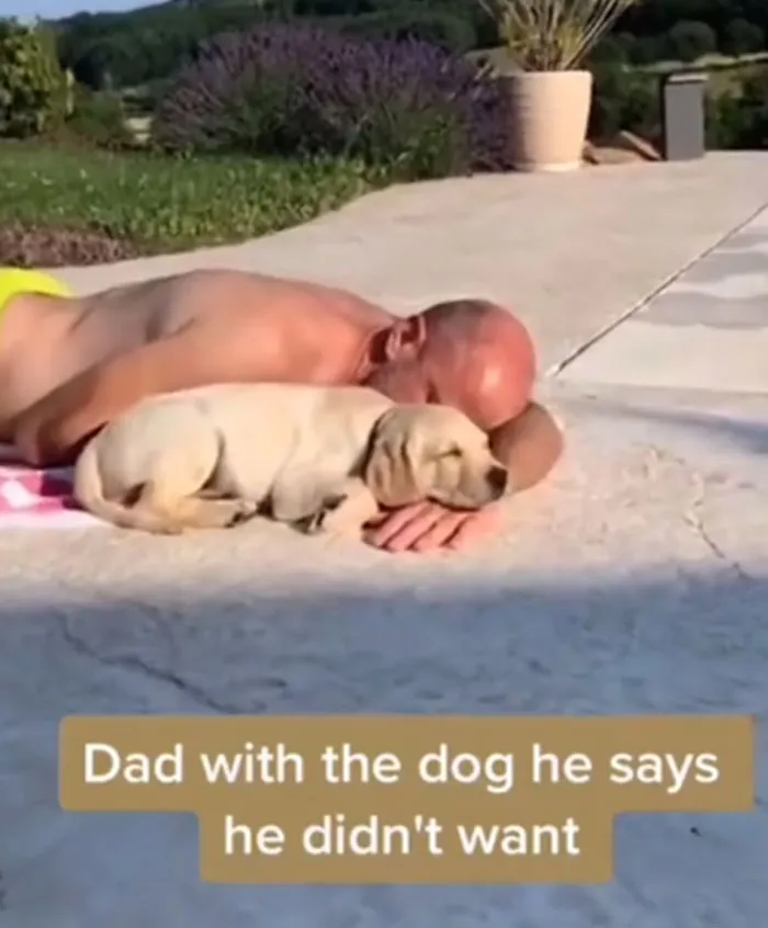 My Dad And The Dog He Never Wanted