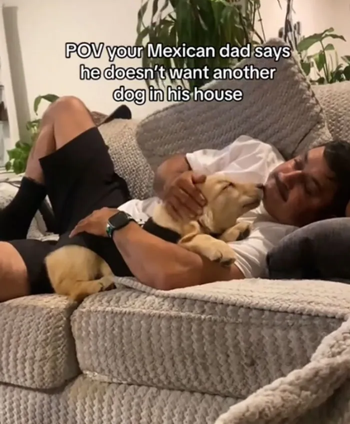 Doesn't Want The Dog, Sure