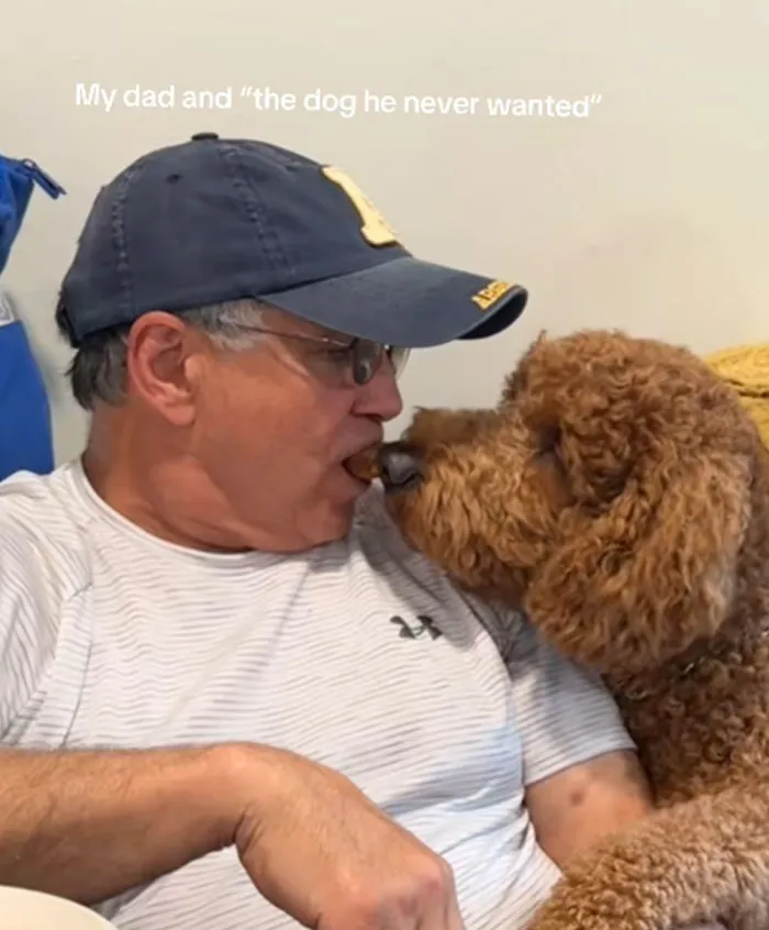 They Are So In Love