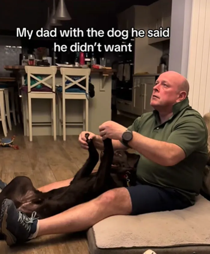 My Dad With The Dog He Said He Didn't Want