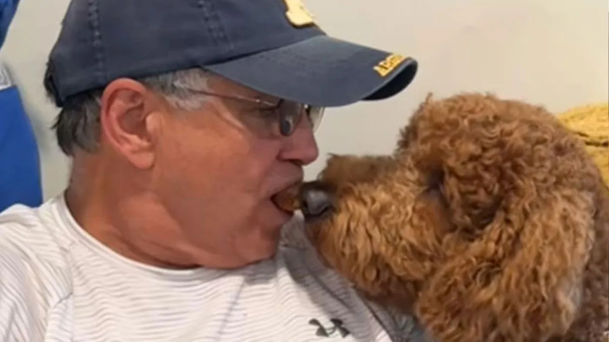 43 Times Men Got A Pet Against Their Will And Went From “Absolutely Not” To “That’s My Baby”