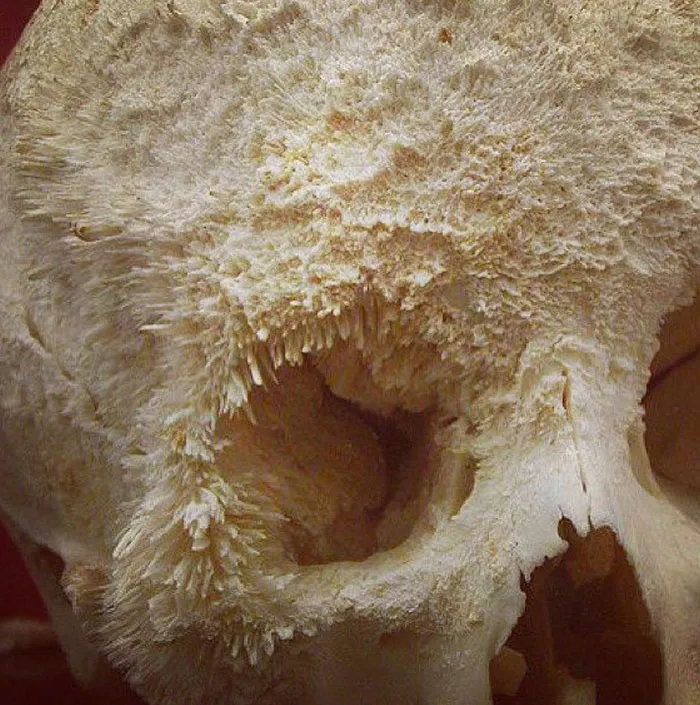 58 Innocent-Looking Photos That Hide Sinister Secrets