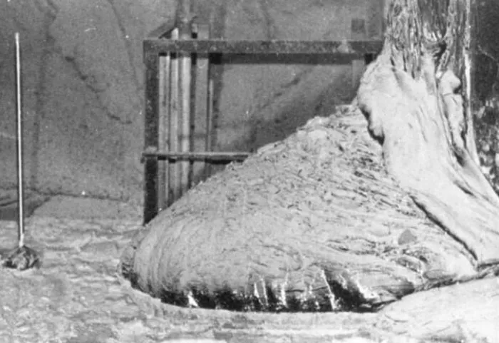 20 Fotos que parecen normales hasta que conoces su secreto