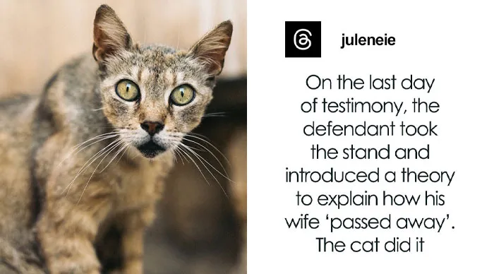 57 Things Lawyers And Judges Witnessed In Court That They Still Can’t Forget