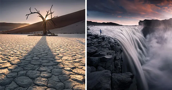 41 New Nature Photos From Around The World That Feel Almost Too Beautiful To Be Real