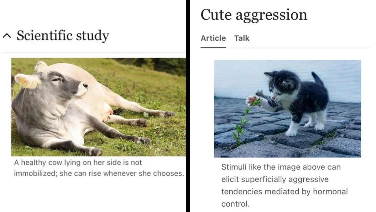 This Page Shared 69 Weird Animal Facts People Discovered While Falling Into A Wikipedia Rabbit Hole