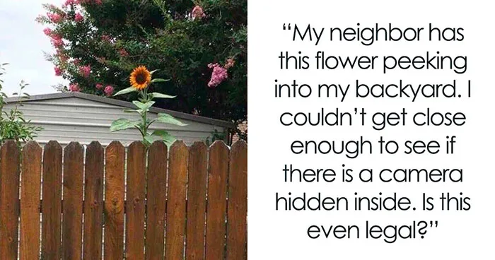 87 Unhinged And Entertaining Neighbor Antics Shared By This X Page (New Pics)