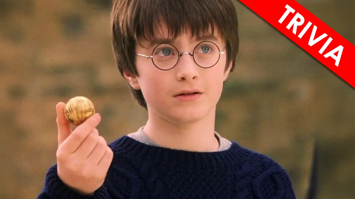Prove You Can Guess All 15 Films From These Overly Literal And Satirized Descriptions