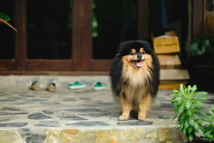 “My Neighbor Has No Sense Of Time”: 34 Of The Most Annoying Neighbors People Had To Deal With