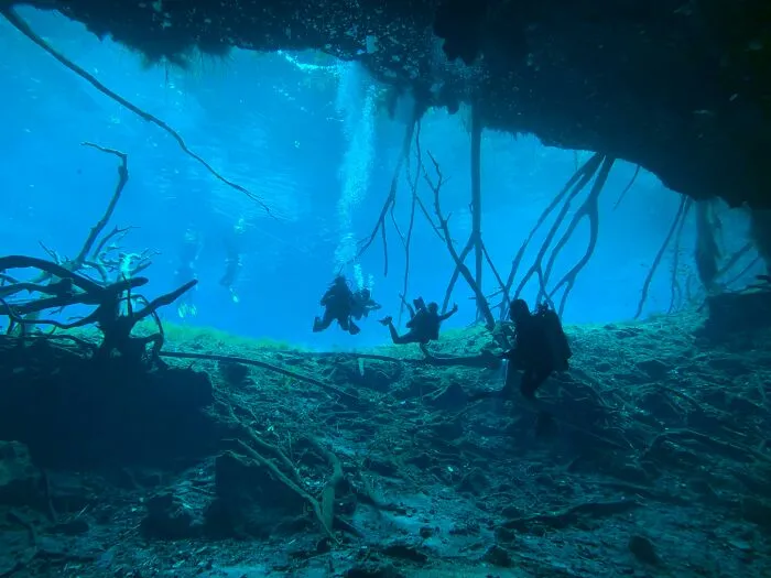 21 Terrifying Stories That Might Make You Never Go Underground Or Underwater