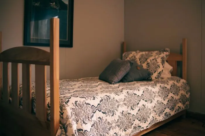 47 Completely Useless Yet Interesting Facts That Live Rent-Free In People’s Heads