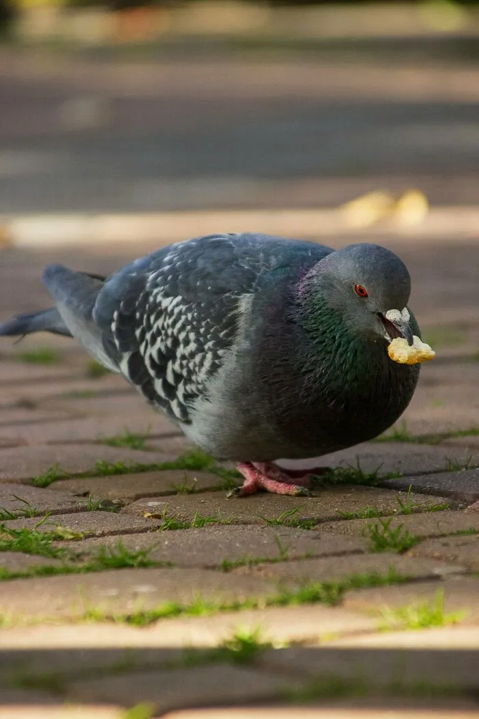 47 Completely Useless Yet Interesting Facts That Live Rent-Free In People’s Heads