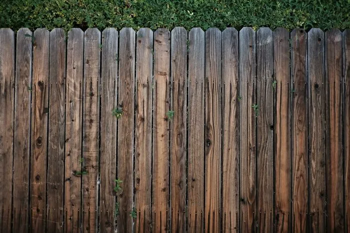“My Neighbor Has No Sense Of Time”: 34 Of The Most Annoying Neighbors People Had To Deal With