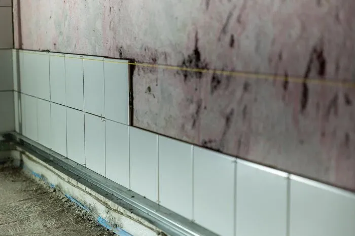 49 Catastrophes And Personal Disasters People Accidentally Avoided By Procrastinating