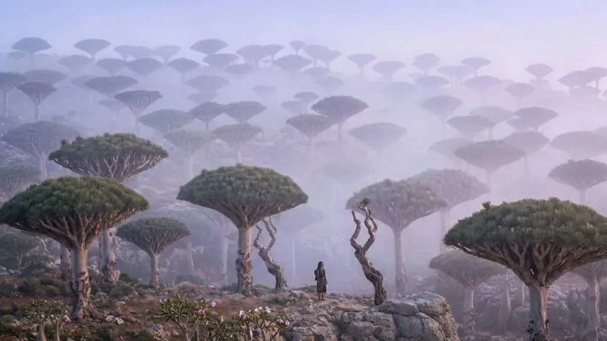 58 Photos That Look Like They Couldn’t Have Been Taken On Earth But They Were