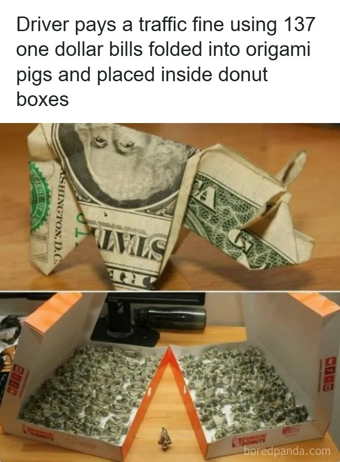 Origami pigs made from dollar bills used to pay traffic fine in donuts