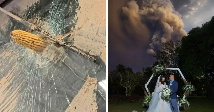 57 Terrifying Encounters With Nature People Captured On Camera