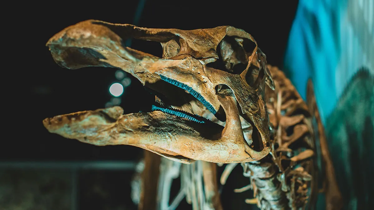 Scientists Unearth Colossal New Dinosaur Species In Thailand That Could Rewrite Prehistoric History