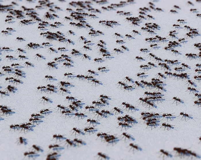 Si a las hormigas les encanta el azúcar y las abejas producen miel, ¿por qué las colmenas no son atacadas constantemente por hormigas?