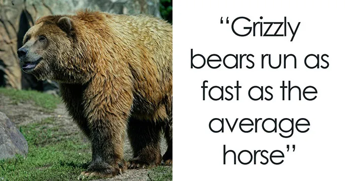 60 Freaky Scientific Facts That Sound Fake But Aren’t