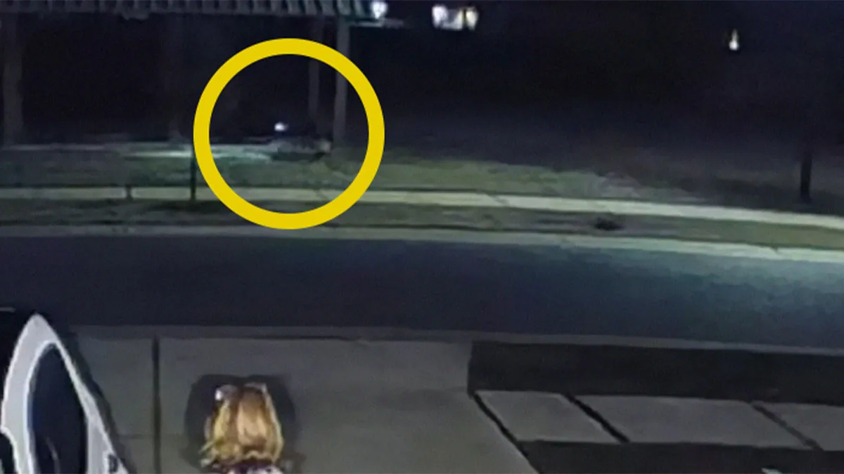 "Hello!": Woman Left Stunned In Parking Lot As A "Creature" On All Fours Appears In Front Of Her