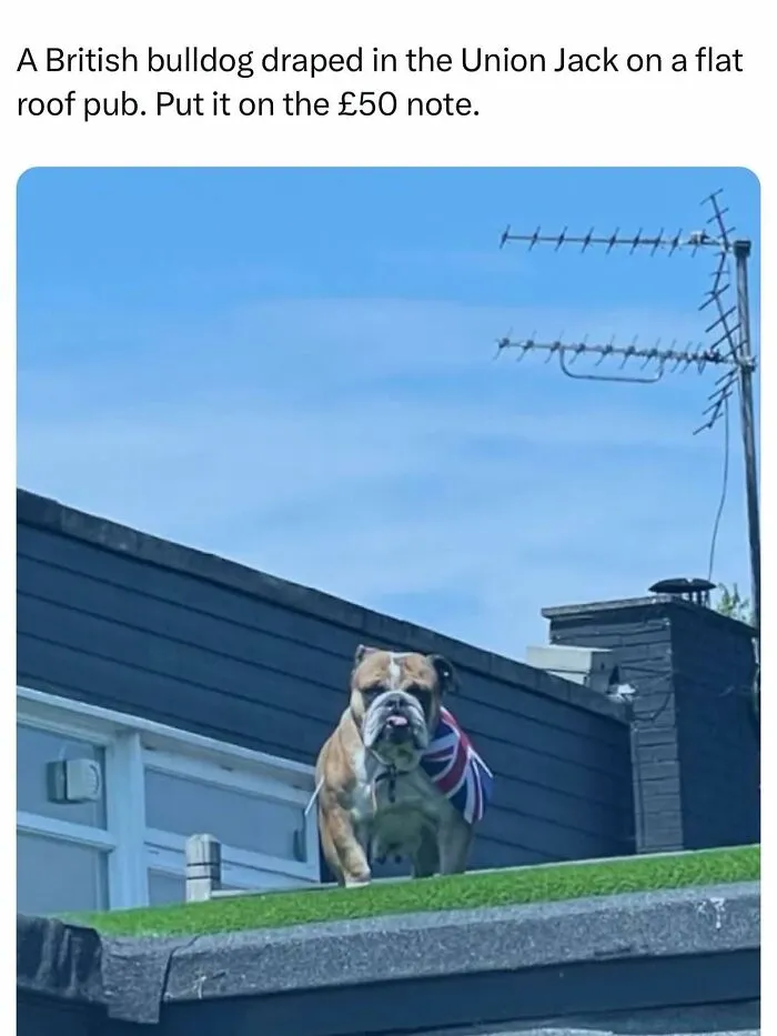 67 Funny British Memes That Show What Makes UK Humor So Uniquely Entertaining
