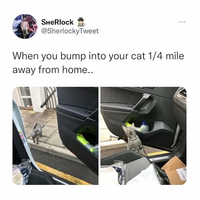 67 Funny British Memes That Show What Makes UK Humor So Uniquely Entertaining