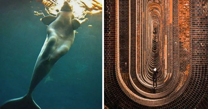 These 78 People Found Something So Amusing They Shared It In The ‘Woah Dude’ Group (New Pics) 