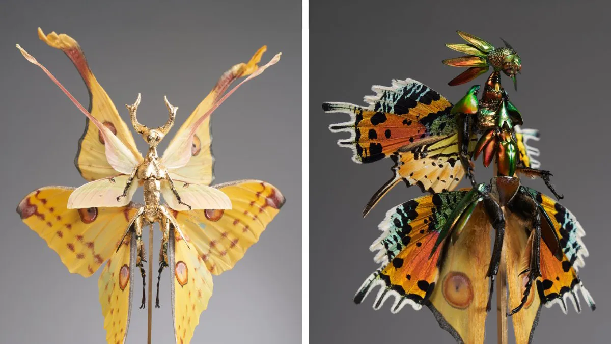 This Artist Creates Surreal Fairies, Floral Skeletons, And Mythical Creatures Out Of Natural Materials (33 Pics)