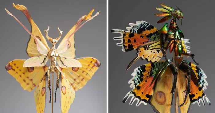 This Artist Creates Surreal Fairies, Floral Skeletons, And Mythical Creatures Out Of Natural Materials (33 Pics)