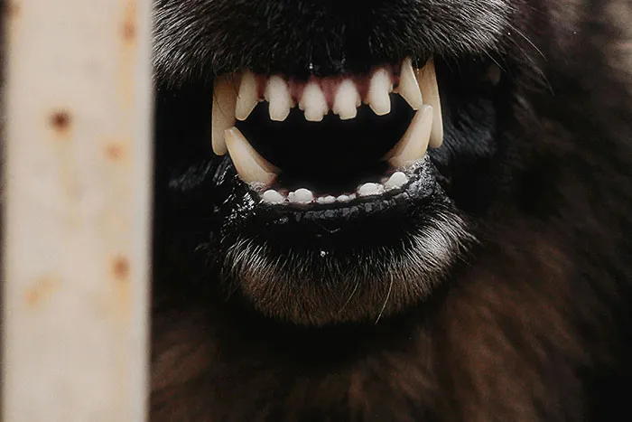 43 Of The Scariest Things To Exist In This World