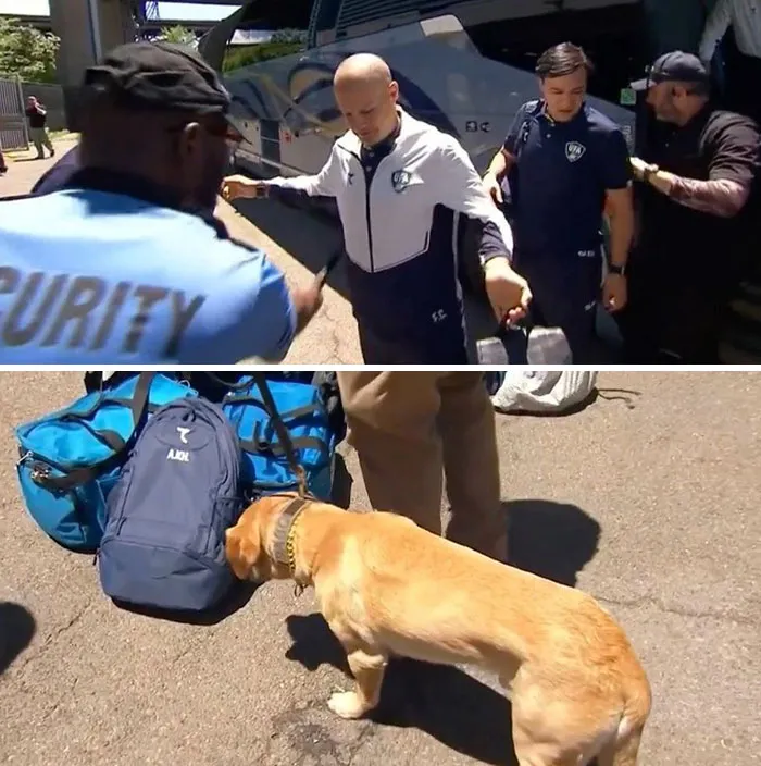 Uzbekistan's World Cup Team Screened By K-9 Units And Metal Detectors 